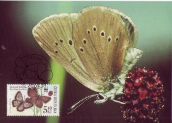 CM 041 A / 044 A - WWF malé razítko ● - 2002